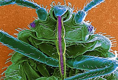 沙雕游戏名作《非常普通的鹿》登陆Epic游戏商城